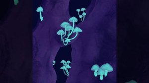 Full Timelapse Mycena Chlorophos