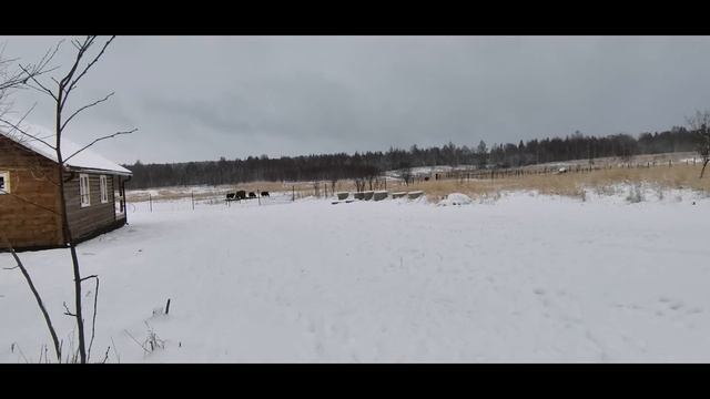 Рай на природе,баня,зона барбекю :) смотреть онлайн