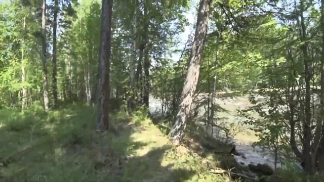 рыбалка в Северомуйске на речке Муякан 2019. смотреть онлайн