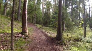 Ореховская вело-пешеходная тропа