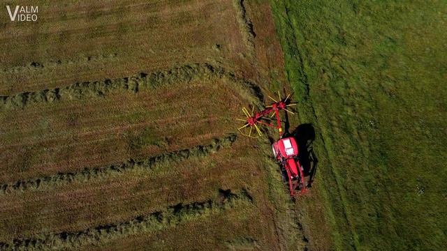 Šienainio grėbimas / Hay Raking Zetor + Dobilas GVR-6B. DJI Mavic Footage. 2021 September. Lithuani смотреть онлайн