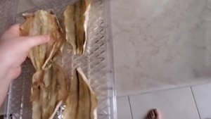 Вяленая корюшка в сушилке/дегидраторе, серия 02, итоГи