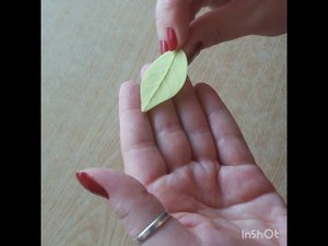 Лист камелии из холодного фарфора
