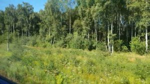 4К. Под стук колес. Данилов - Ярославль. Ярославская область. Северная железная дорога