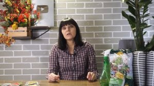 УЖАС!!! ЖЕЛТЕЮТ ЛИСТЬЯ ЗАМИОКУЛЬКАСА - ЧТО ДЕЛАТЬ? ? Как вы убиваете свои растения