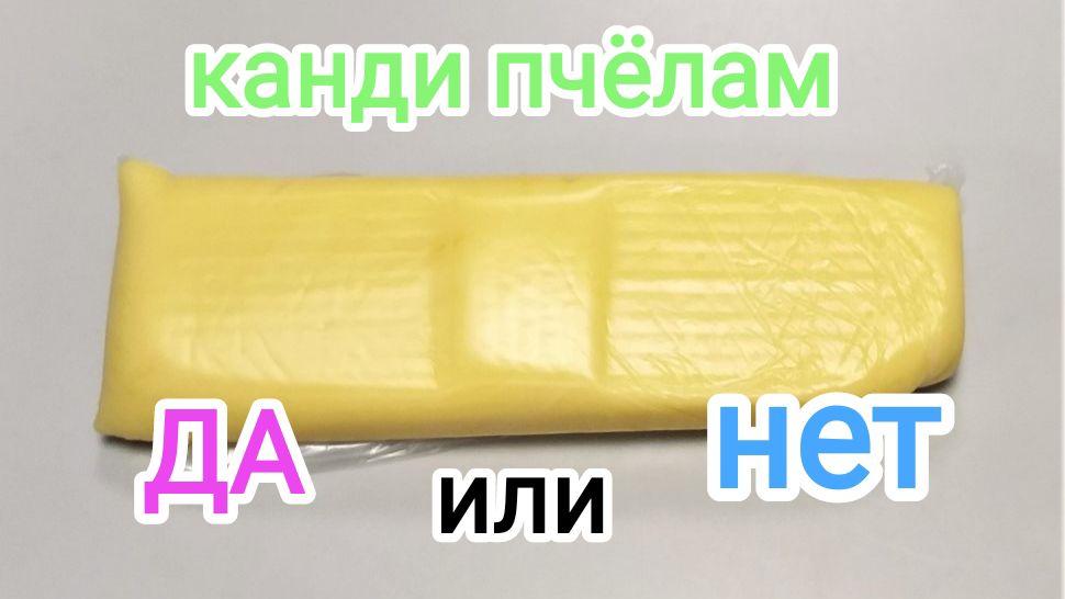 Канди дал