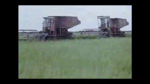 Сено. Тундра. СССР.