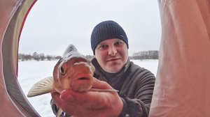 Охота на леща зимой на поплавочную удочку. Вазузcкое водохранилище.