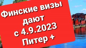 ВИЗЫ И ВНЖ В ФИНЛЯНДИЮ С 04.09.2023 МОЖНО ЗАКАЗЫВАТЬ В ПИТЕРЕ И ДР. ГОРОДАХ СЕВЕРО-ЗАПАДА РФ #виза