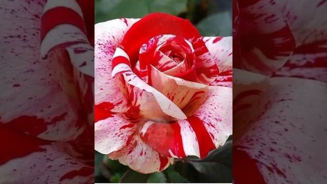 VN20231118_232838.mp4 смотреть онлайн