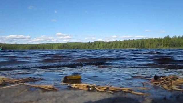 Озеро Чёрное . Карельский перешеек .