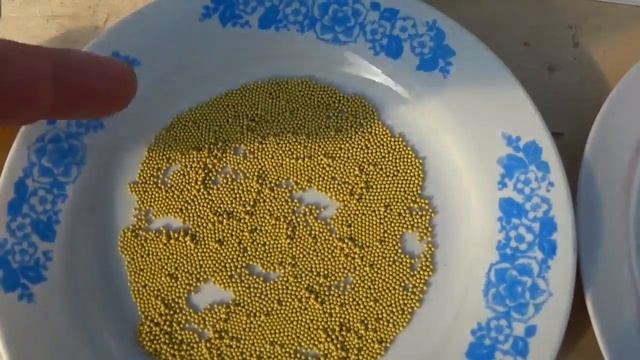 Семена ПЕТУНИИ Гранулированные или Не Гранулированные. Какие выбрать? В чем разница? смотреть онлайн