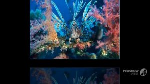 банк_горящ_туров. банк_горящ_туров_смотреть