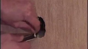 Как правильно поклеить обои - правильная поклейка обоев