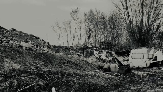 Hanna in Galizien смотреть онлайн