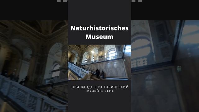 Naturhistorisches Museum #shorts