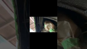 Антикор Subaru Impreza 1998 [Стандарт]