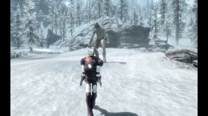 Skyrim Прикол 29