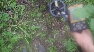 Z 30 режим запоминания металлов