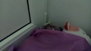 Басики поехали в лагерь на поезде!😲В какие группы они попали!?/Басикт тв/лагерь🐱👍