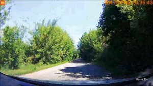 Зелёный Тоннель