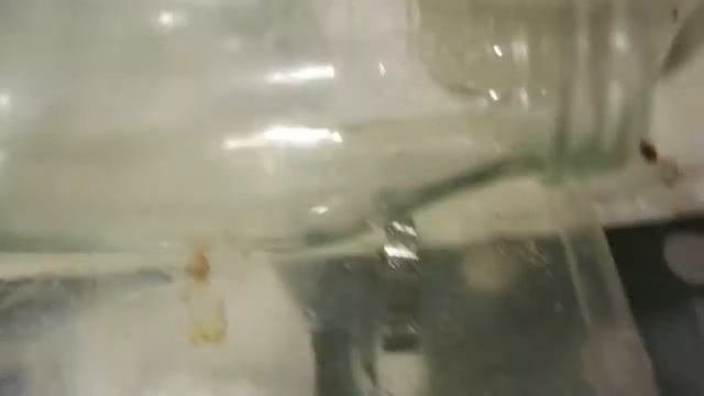 Lifehack.  Клей, скотч, смола  - отклеиваем, отчищаем.