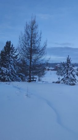 Зимняя картина на Среднем Урале