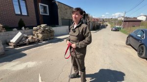 Барса! Первые прогулки по улице! Как правильно работать на улице!