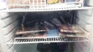 Птичий рынок в Москве