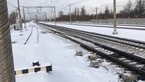 Сапсан на станции Славянка