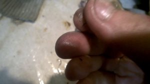 Разборка двигателя honda cb750