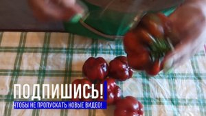 Перец на зиму - Вкуснее Вы просто не пробовали! РАТУНДА В МЕДУ БЕЗ СТЕРИЛИЗАЦИИ