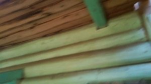 Поиск в заброшенной деревни - Водка МЕДВЕДЬ ШАТУН