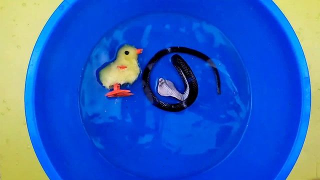 Учим Животных на английском, Корова, Динозавр,Носорог, Крокодил, Развивающие Мультики для Детей смотреть онлайн