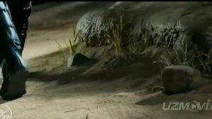 Unsurlar hukumdori 2 juda qiziq