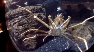 Что посмотреть в Бангкоке