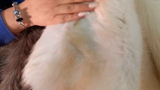 Совместная закупка искусственного меха Тиссавель