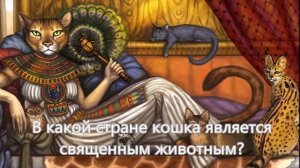 Кошки викторина