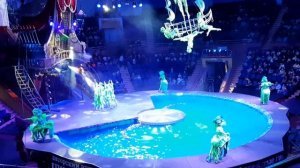 Цирк Сочи Цирк на воде Шоу Шевченко