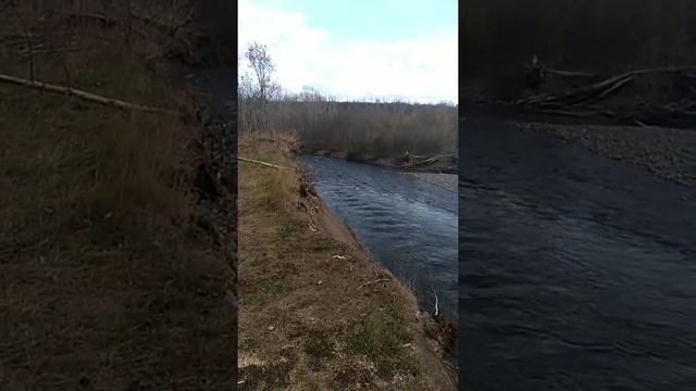 Выезд на север Сахалина. Departure to the north of Sakhalin.... смотреть онлайн