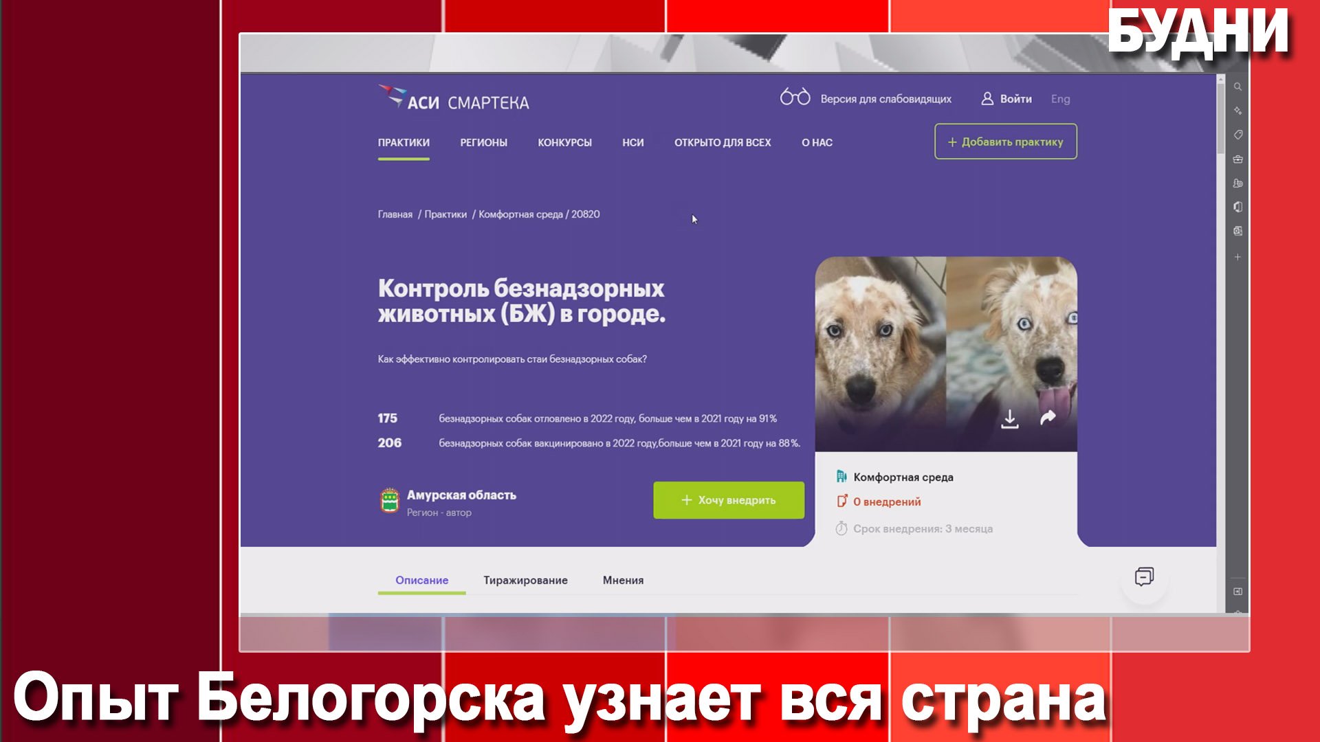 Смартека платформа