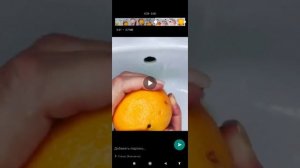Как загрузить длинное видео в статус ватсап?