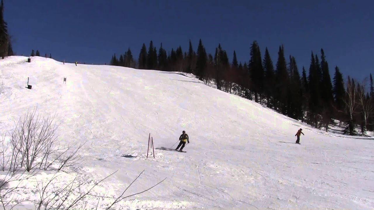 Австрийская техника 2016.