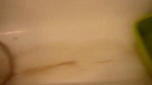 Indesit WITE127:: Shoes Wash