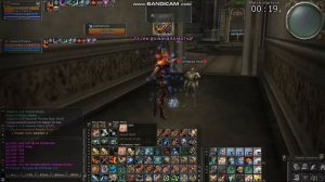 Олимп паладин х1000 и х100. Скрайд