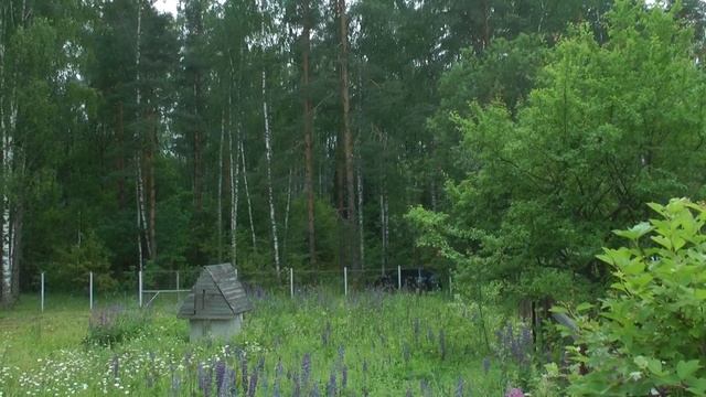 Мы продаём, а вы можете купить настоящую бревенчатую дачу в Киржачском районе у озера смотреть онлайн