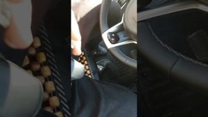 Скрип климата на рио 4 истинная причина