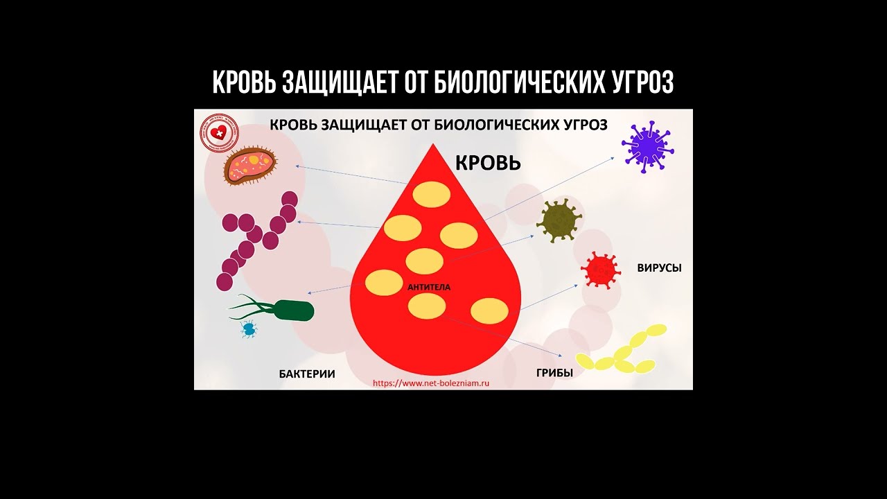 Угрозы в биологической сфере.