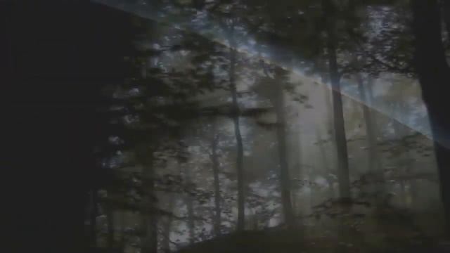 Абсолютера (Absolutera.ru). Ченнелинги с Высшим Разумом для духовного развития