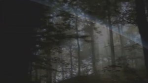 Абсолютера (Absolutera.ru). Ченнелинги с Высшим Разумом для духовного развития